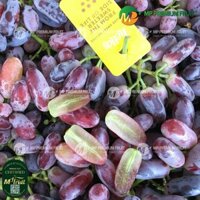 Nho Đỏ Không Hạt Long Crimson Úc | Hello