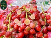 Nho Đỏ Không Hạt Sweet Celebration Mỹ