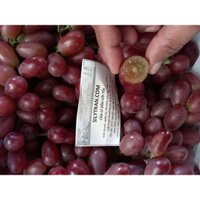 nho đỏ không hạt, tươi ,ngọt 1kg