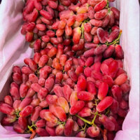 Nho Đỏ không hạt