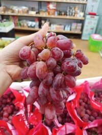 Nho đỏ LongCrimson không hạt Úc