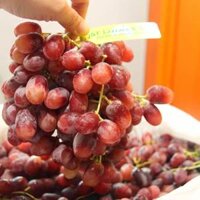 Nho Đỏ Úc