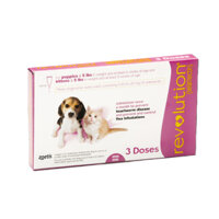 Nhỏ gáy REVOLUTION DÀNH CHO MÈO DƯỚI 2.5KG - lẻ 1 túyp