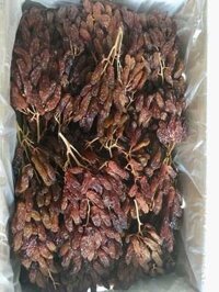 Nho khô nguyên cành Long Crimson nhập khẩu Úc, Nho kho Úc nguyên cành Long Crimson