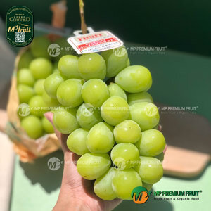 Nho mẫu đơn Shine Muscat Nhật Bản