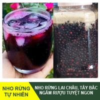 Nho Rừng Tây Bắc – Ngâm Rượu Tuyệt Ngon