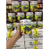 Nho Sấy Raisin không hạt vị thập cẩm hộp 425gr date mới