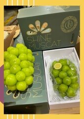 Nho sữa Hàn Quốc loại đặc biệt