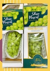 Nho sữa Hàn Quốc loại đặc biệt