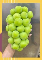 Nho sữa Hàn Quốc loại đặc biệt