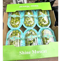 nho sữa hộp nhựa