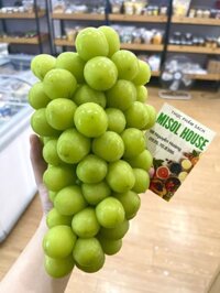 Nho sữa Shine Muscat Đài VIP