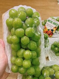 Nho sữa Shine Muscat Đài VIP