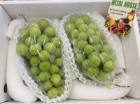 Nho sữa Shine Muscat Đài VIP