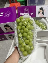 Nho sữa Shine Muscat Đài VIP