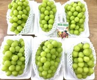 Nho sữa Shine Muscat Đài