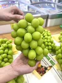 Nho sữa Shine Muscat Đài