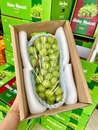 Nho sữa Shine Muscat hộp VIP