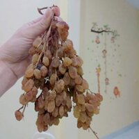 Nho Úc nguyên cành