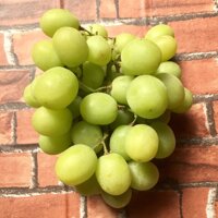 Nho xanh không hạt Mỹ, quả to, rất giòn và ngọt đậm.