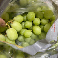 Nho Xanh Không Hạt Nam Phi