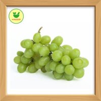 Nho xanh không hạt Úc – 100g