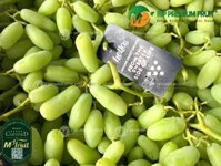 Nho Xanh Ngón Tay Long White Úc | Hello