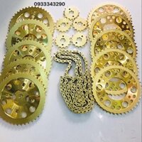 NHÔNG SÊN DĨA ĐI VÀNG CHO EXCITER 2010