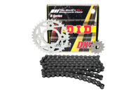 Nhông sên dĩa DID Future 125, Wave RS DXN