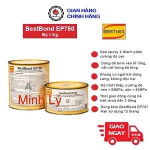 Nhựa bơm Epoxy 2 thành phần có độ nhớt thấp Sikadur 752