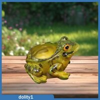 Nhựa Ếch Trồng Quà Tặng Sinh Nhật Chậu Cây Trang Trí Cho Sân Cafe Bên Ngoài