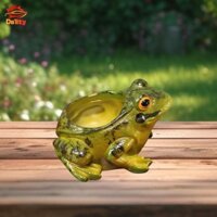 Nhựa Ếch Trồng Quà Tặng Sinh Nhật Chậu Cây Trang Trí Cho Sân Cafe Bên Ngoài