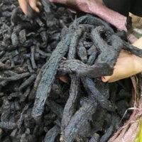 nhục thung dung 100g -200g -300g