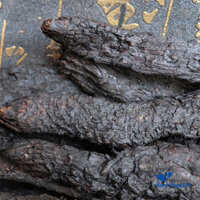 nhục thung dung 250g -500g