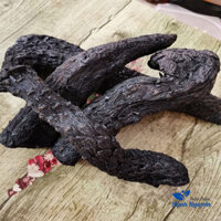 nhục thung dung 500g -1kg