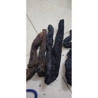 nhục thung dung 500g -1kg