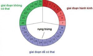 Những bài thuốc dân gian kỳ diệu