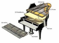 Những Cây Đàn Piano Đắt Nhất Thế Giới Và Câu Chuyện Đằng Sau – Khám Phá Nghệ Thuật Âm Nhạc