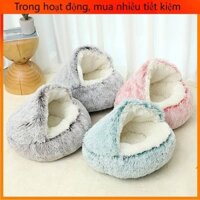 Những Con Vật Nhỏ Bé Như Con Mèo Nhỏ Được Sinh Ra Từ Dòng Suối Nhỏ