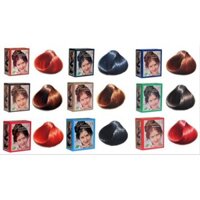 Nhuộm tóc từ thảo dược Ấn Độ Henna Herbul hộp 6 gói X5