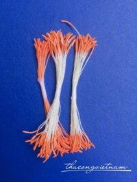 Nhụy dài màu màu cam đậm