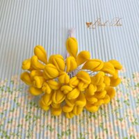 Nhụy Hoa lan Hoàng hậu lưỡi dày