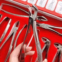 Niceden 10 Cái / bộ Kìm nhổ răng nha khoa cho người lớn Dụng cụ chiết xuất phẫu thuật nha khoa cho phòng khám nha khoa