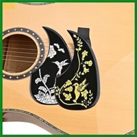 Nik Acoustic Guitar Chọn Bảo Vệ Miếng Dán Guitar Pickguard Chống Trầy Xước Trống Tấm Tự Dính Mặt Sau Cho Hầu Hết Các Guita