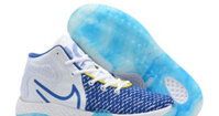 Nike KD Trey 5 VIII White Blue