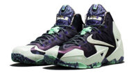 Nike Lebron 11 Gator King