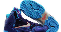 Nike Lebron 11 Hornets