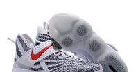 Nike Lebron 14 Zebra