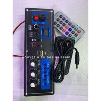 NK1 Mạch loa kéo chất lượng cao giá rẻ 80W