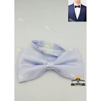 Nơ đeo cổ nam chú rể vải lụa phi bóng giá rẻ KING  - Trắng xanh